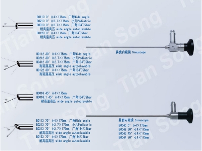 鼻竇鏡.jpg